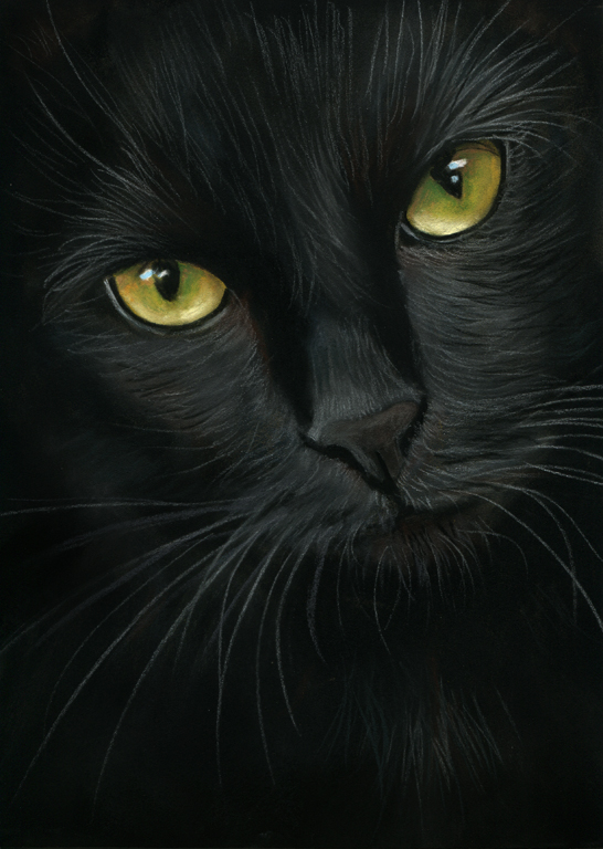 MonsieurLeChat's profile picture