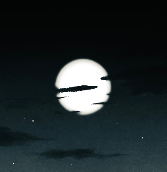 alagoz's profile picture