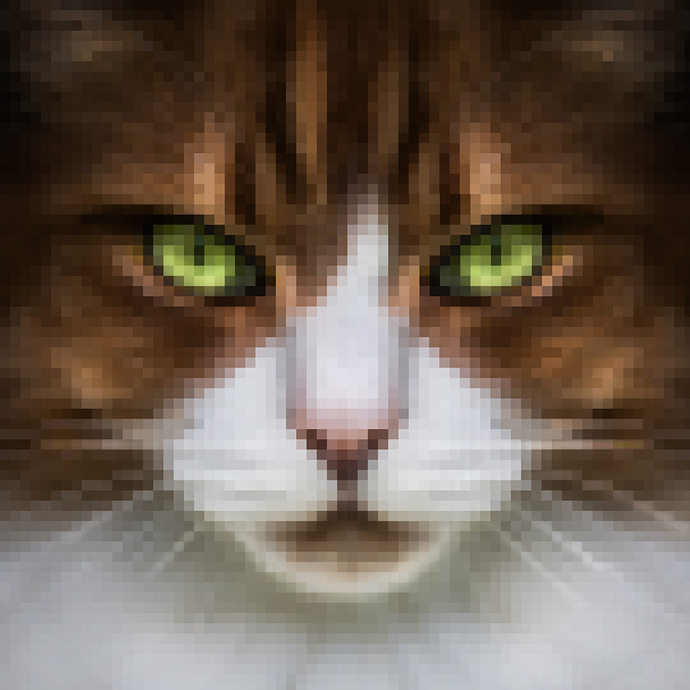Neil_Burnell's profile picture
