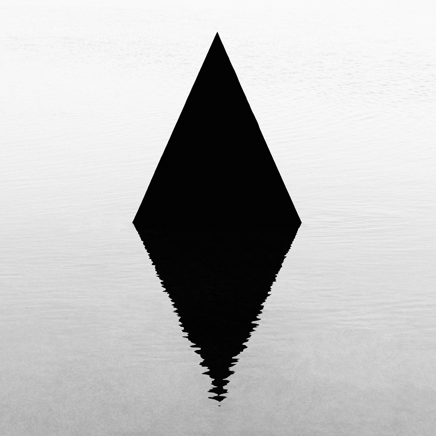 EstebanAmaro's profile picture